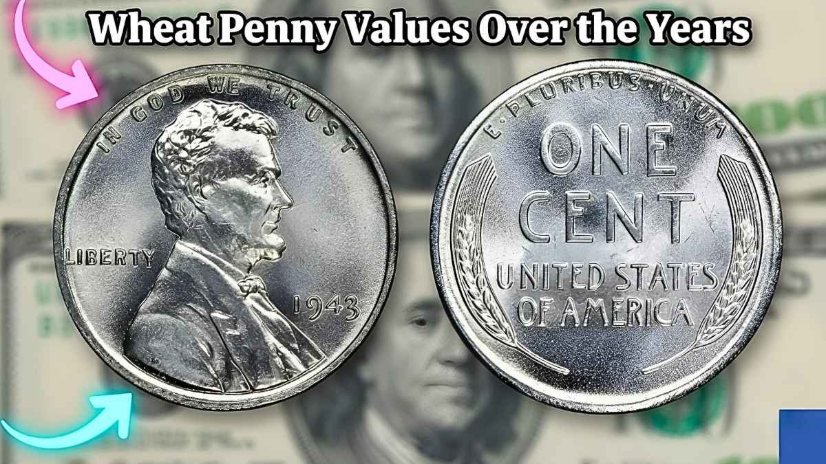 Wheat Penny Values Over the Years – Complete Collector’s Guide